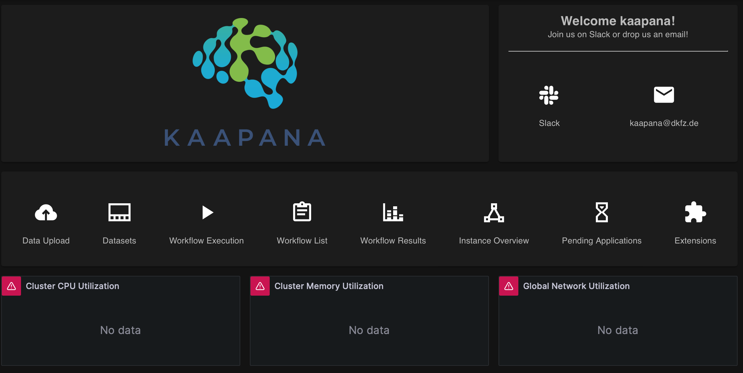 Screenshot of Kaapana homepage with Prometheus metrics not working.